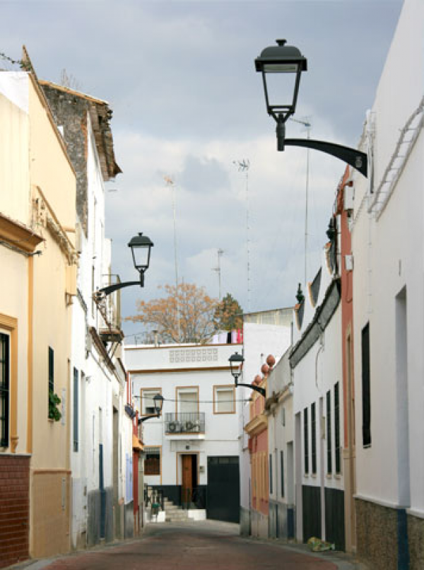 Luminaria Realia