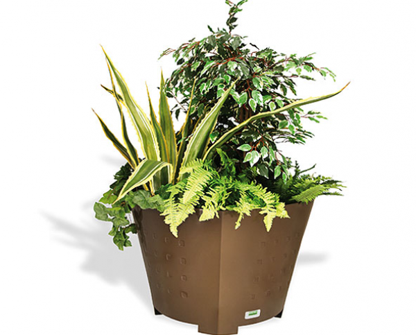 Jardinera Dara