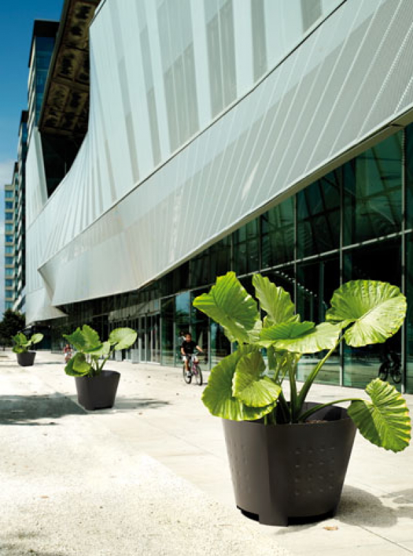 Jardinera Dara