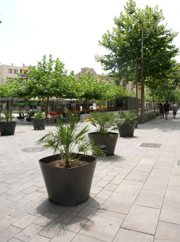 Jardinera Dara