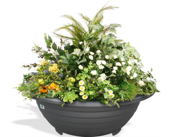 Jardinera Esférica