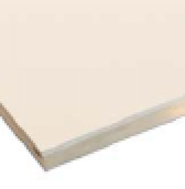Placa Pladur TERM-N (XPS)